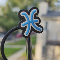 Pisces Zodiac Straw Topper